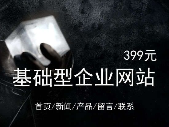 上海市网站建设网站设计最低价399元 岛内建站dnnic.cn